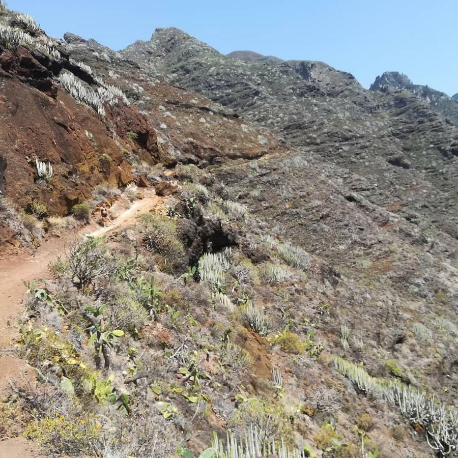 Tenerife Santa Cruz de Tenerife Exteriér fotografie
