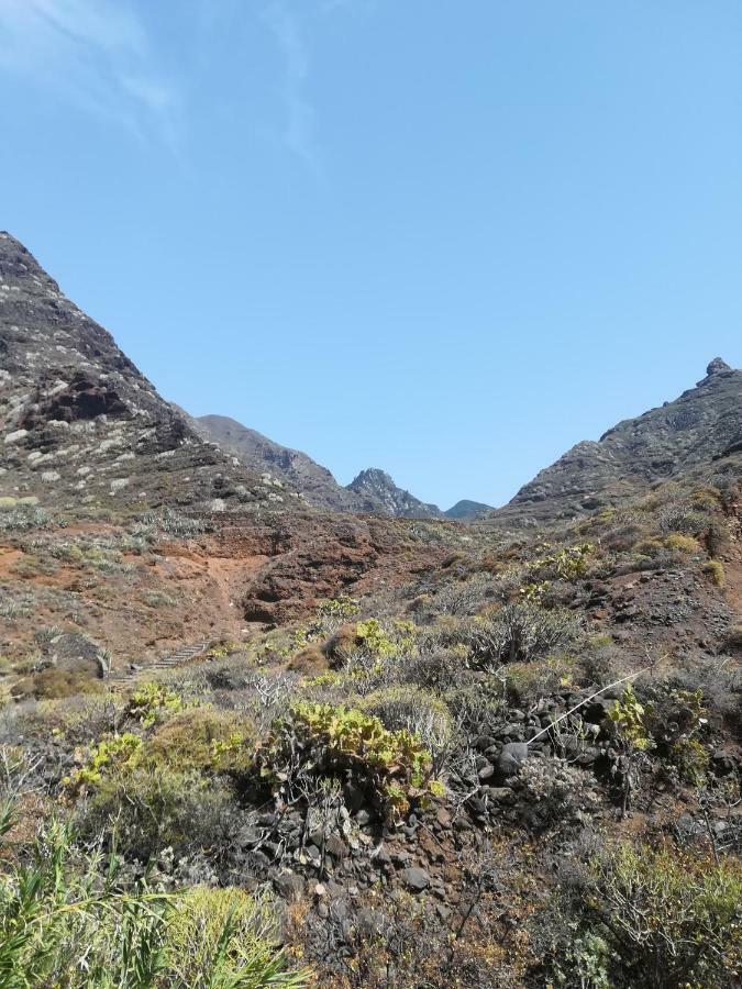 Tenerife Santa Cruz de Tenerife Exteriér fotografie